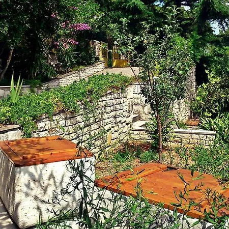 Large Terrace شقة كورتْشولا