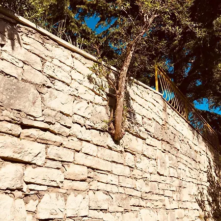 아파트 Large Terrace *