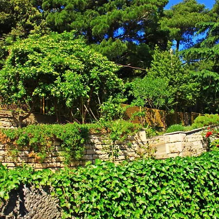 Large Terrace