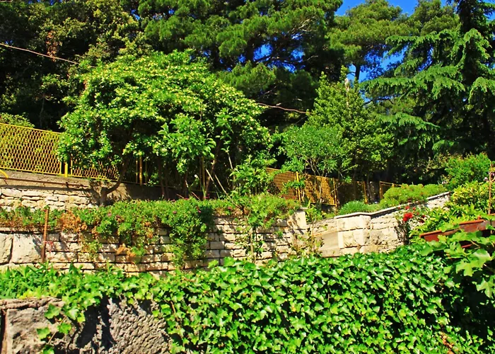Large Terrace